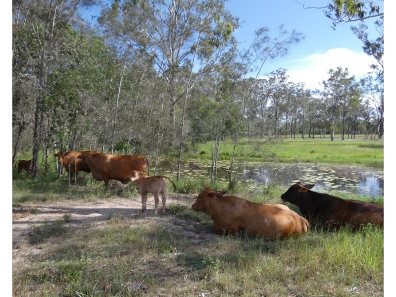 158 Taunton Road, Euleilah QLD 4674