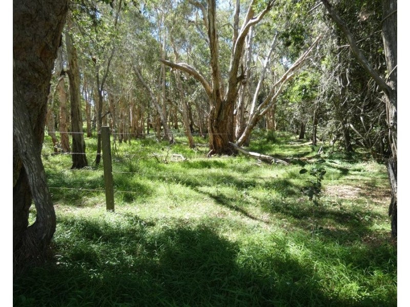 158 Taunton Road, Euleilah QLD 4674