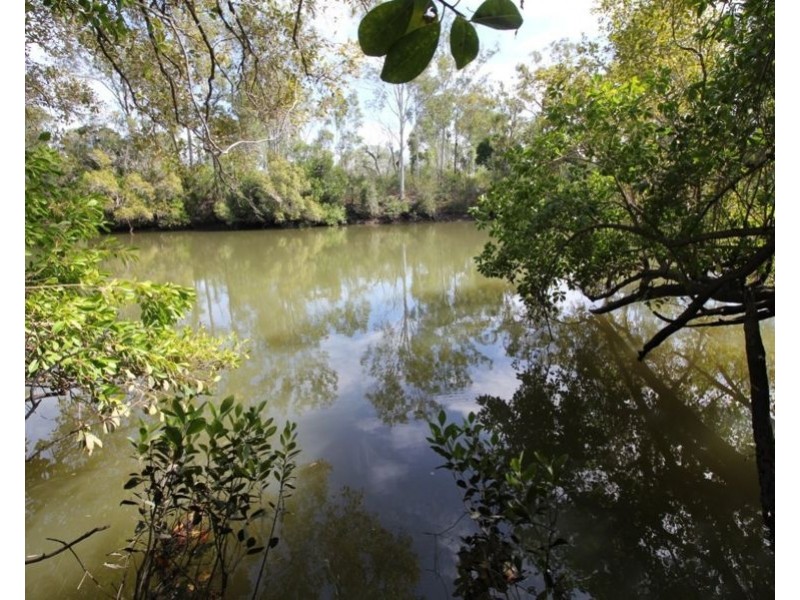 310 MOLLENHAGENS ROAD, Winfield QLD 4670