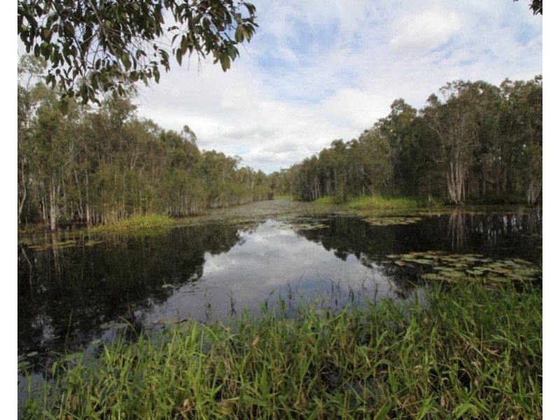 310 MOLLENHAGENS ROAD, Winfield QLD 4670