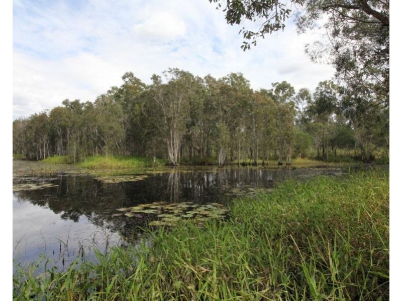 310 MOLLENHAGENS ROAD, Winfield QLD 4670