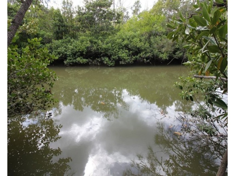 310 MOLLENHAGENS ROAD, Winfield QLD 4670