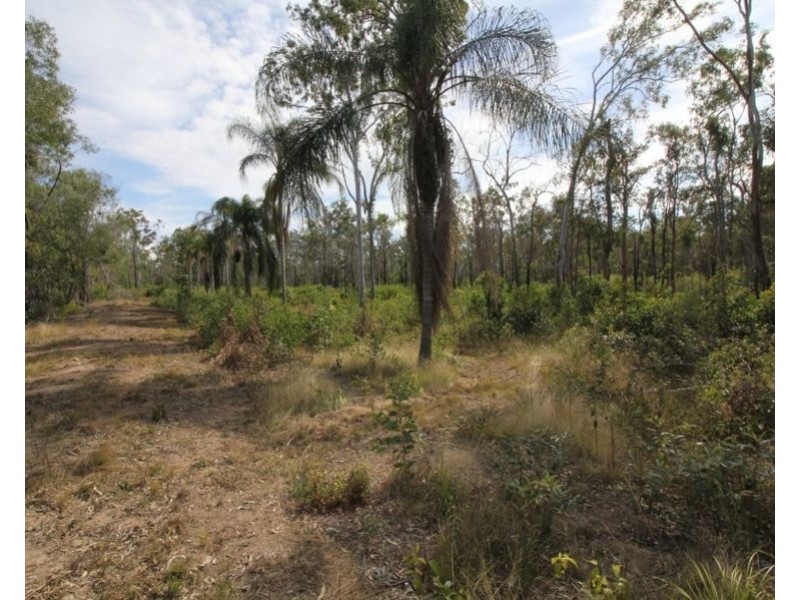 310 MOLLENHAGENS ROAD, Winfield QLD 4670