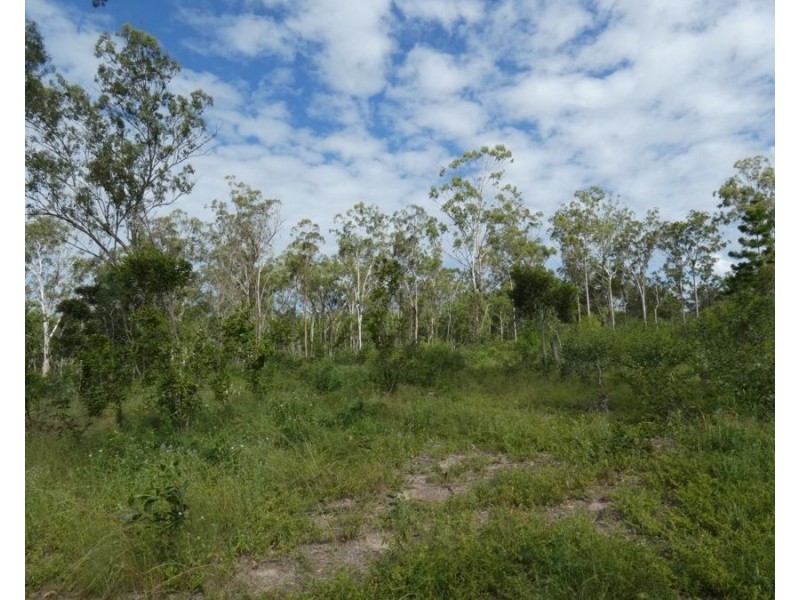 310 MOLLENHAGENS ROAD, Winfield QLD 4670