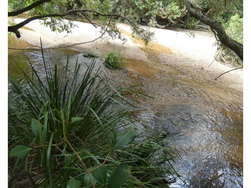 397 Mollenhagens Road, Rosedale QLD 4674