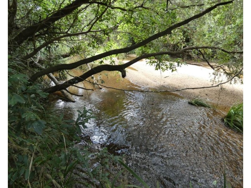 397 Mollenhagens Road, Rosedale QLD 4674