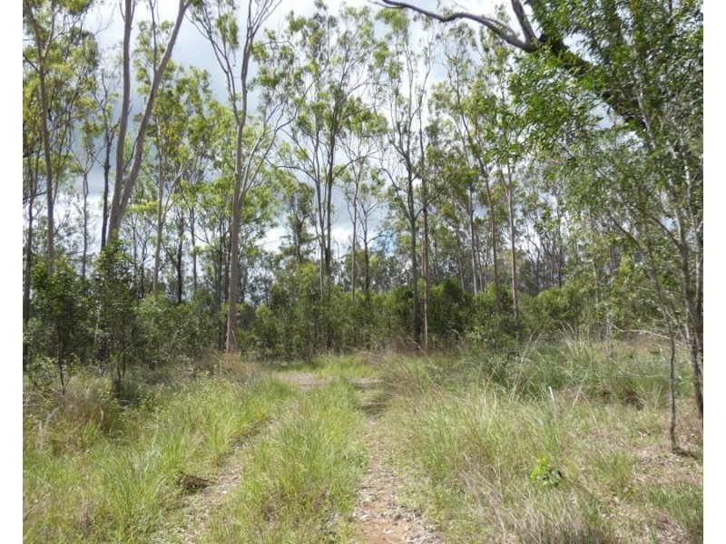 397 Mollenhagens Road, Rosedale QLD 4674