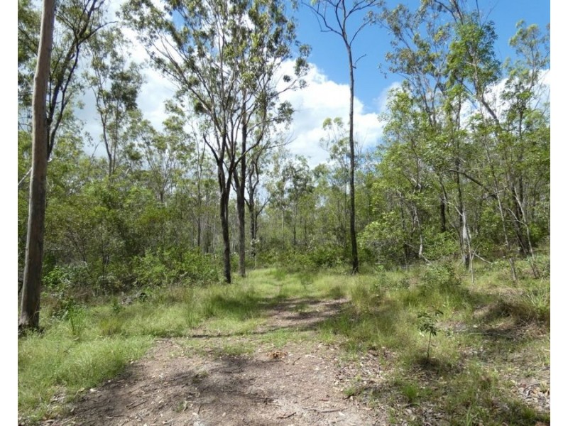 397 Mollenhagens Road, Rosedale QLD 4674