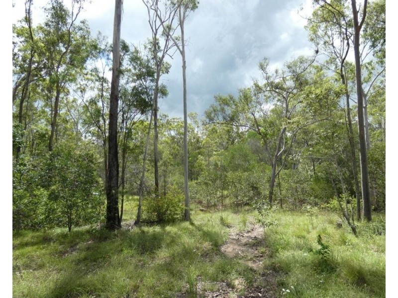 397 Mollenhagens Road, Rosedale QLD 4674