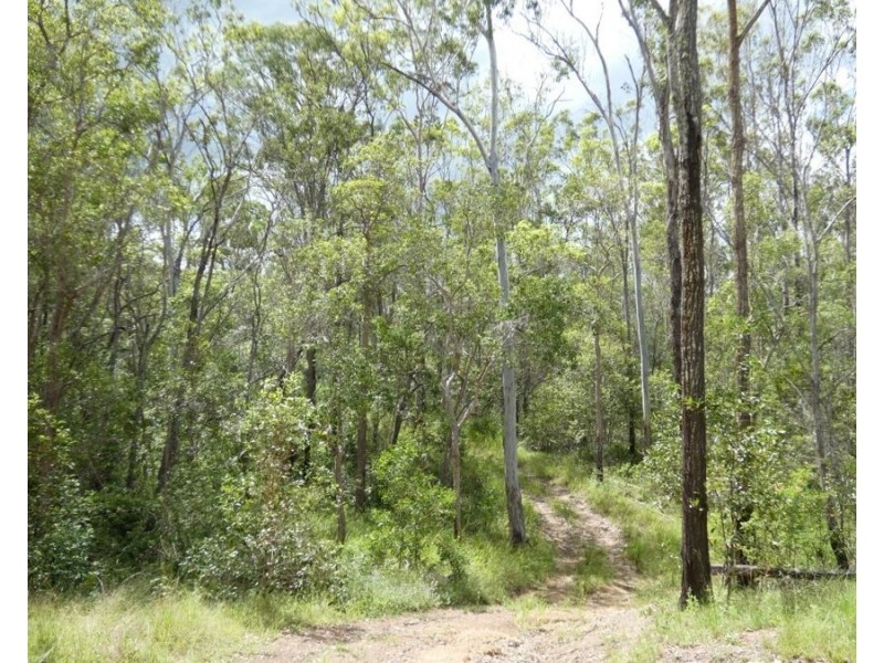 397 Mollenhagens Road, Rosedale QLD 4674