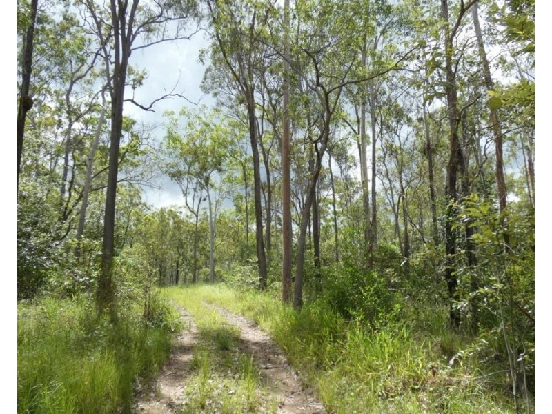 397 Mollenhagens Road, Rosedale QLD 4674