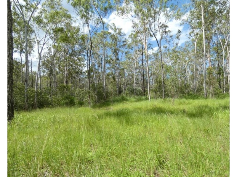 397 Mollenhagens Road, Rosedale QLD 4674