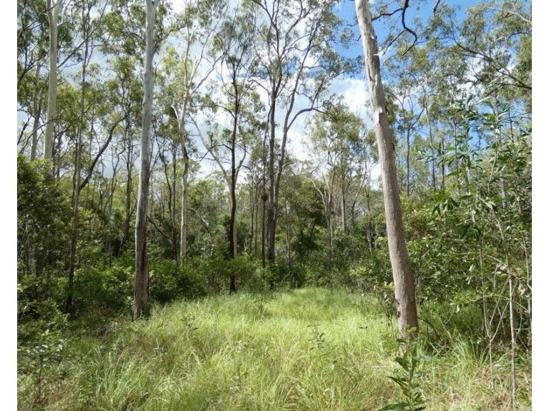 397 Mollenhagens Road, Rosedale QLD 4674