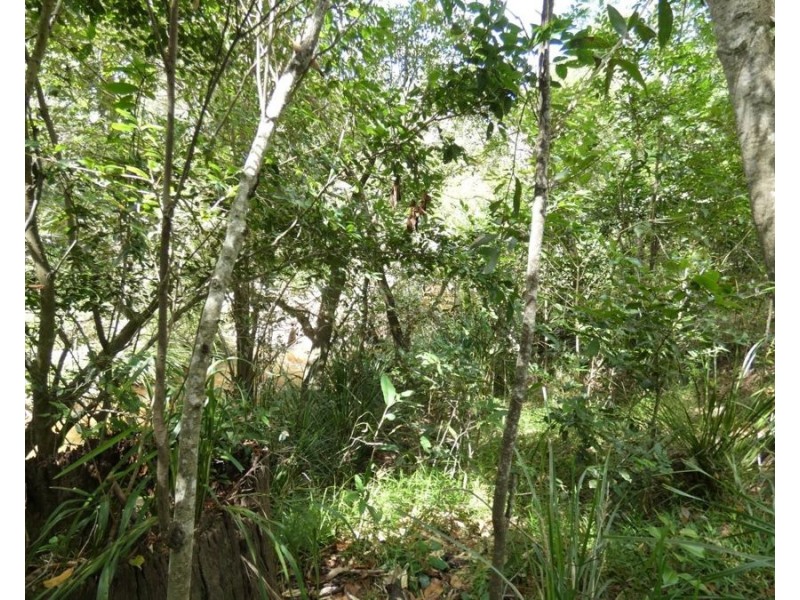 397 Mollenhagens Road, Rosedale QLD 4674