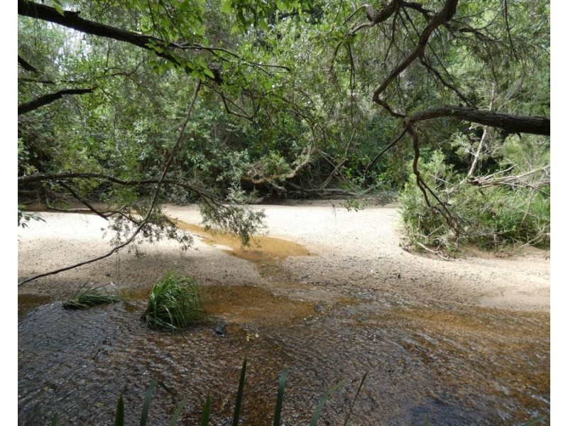 397 Mollenhagens Road, Rosedale QLD 4674