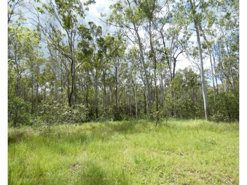 397 Mollenhagens Road, Rosedale QLD 4674