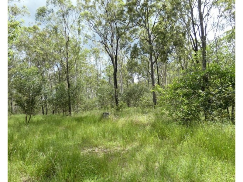 397 Mollenhagens Road, Rosedale QLD 4674