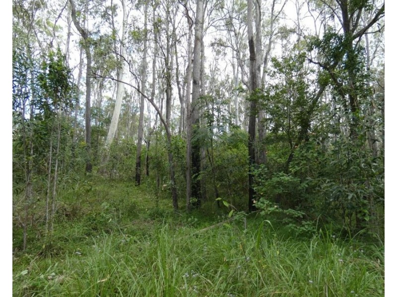 397 Mollenhagens Road, Rosedale QLD 4674