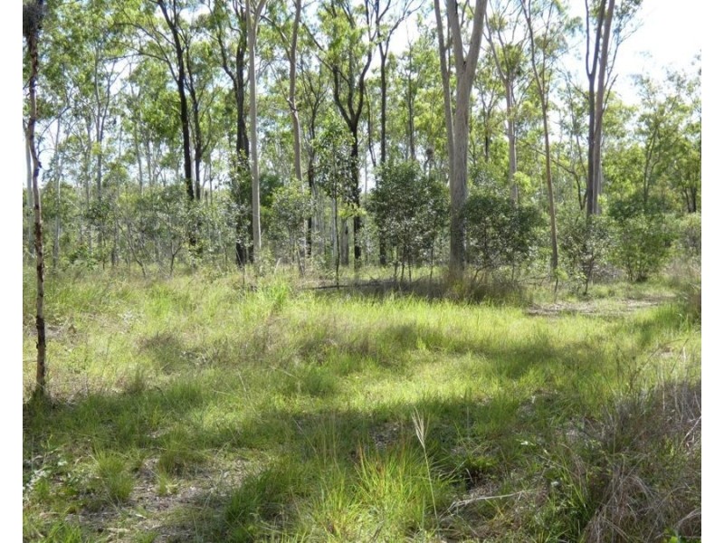 397 Mollenhagens Road, Rosedale QLD 4674