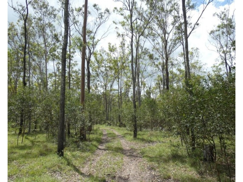 397 Mollenhagens Road, Rosedale QLD 4674