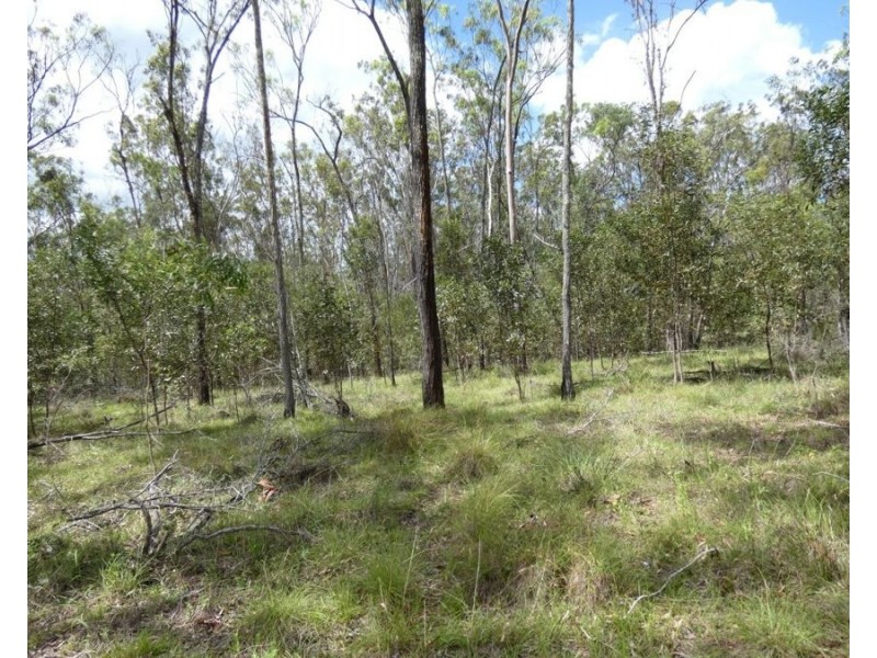 397 Mollenhagens Road, Rosedale QLD 4674