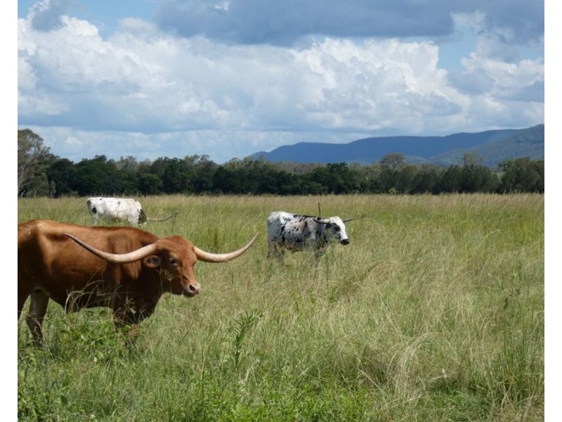 1097 Blackman Gap Road, Colosseum QLD 4677