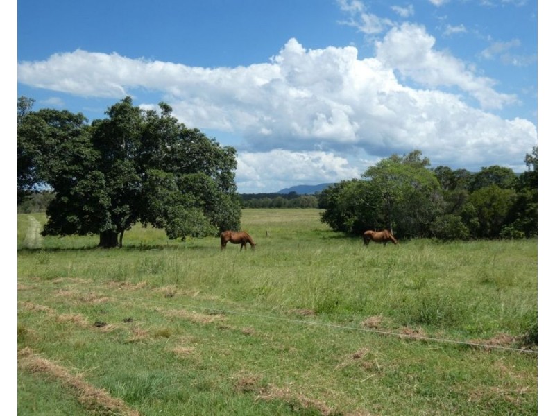 1097 Blackman Gap Road, Colosseum QLD 4677