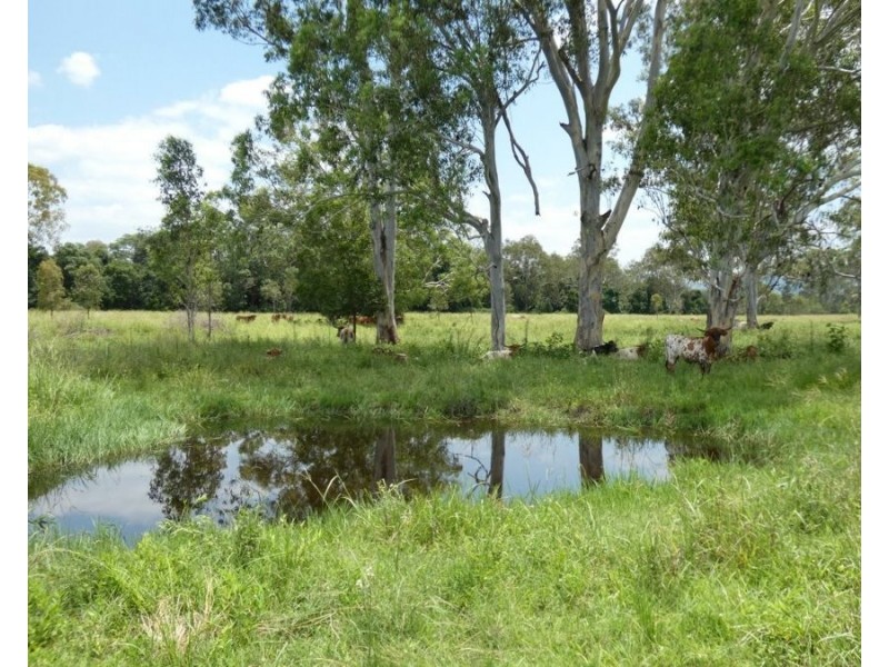 1097 Blackman Gap Road, Colosseum QLD 4677