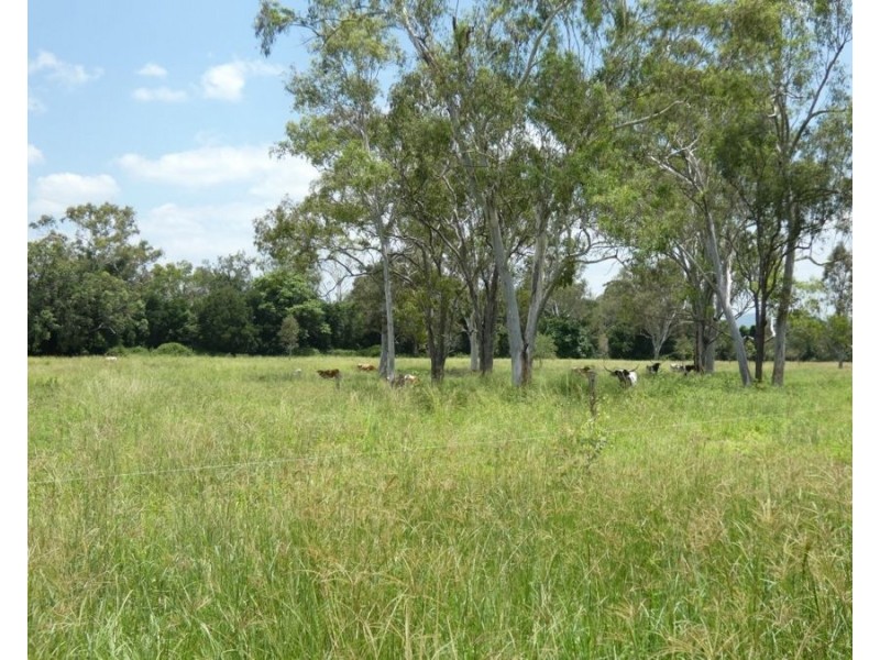 1097 Blackman Gap Road, Colosseum QLD 4677