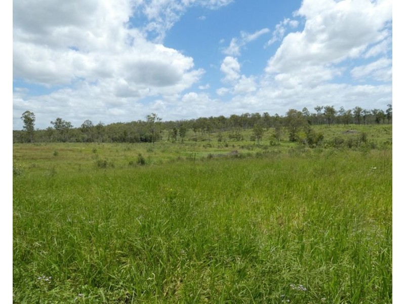 Lot 43 Moolyung Road, Waterloo QLD 4673