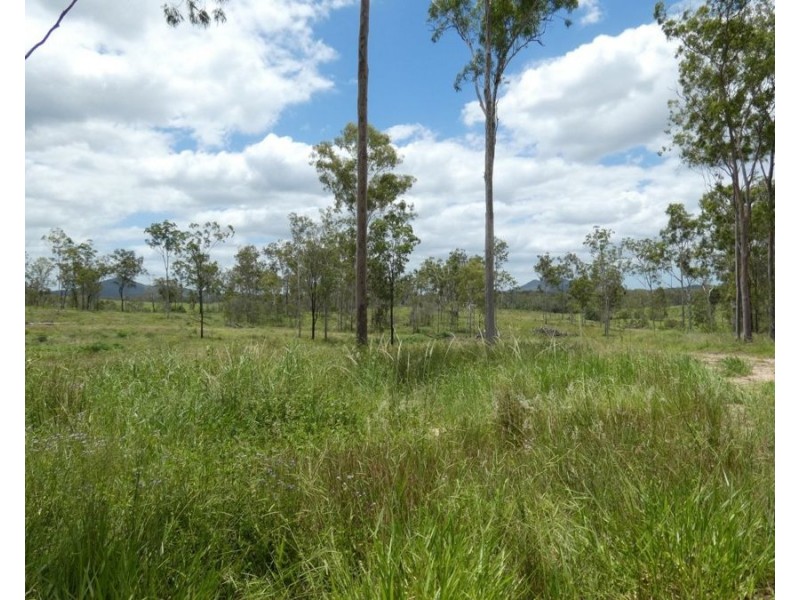 Lot 43 Moolyung Road, Waterloo QLD 4673