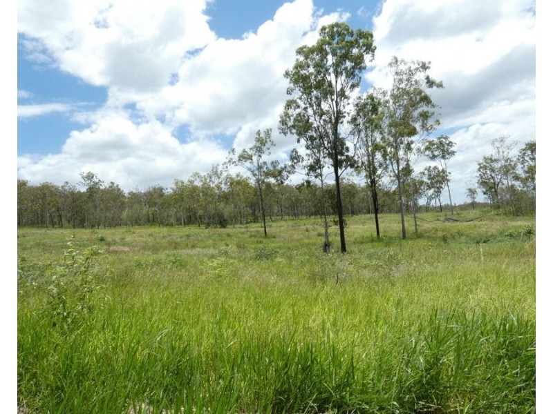 Lot 43 Moolyung Road, Waterloo QLD 4673