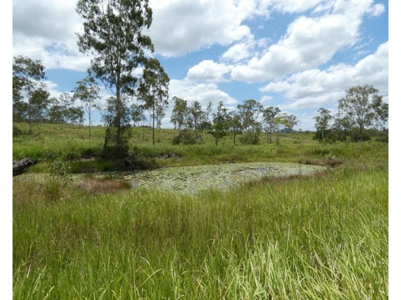 Lot 43 Moolyung Road, Waterloo QLD 4673