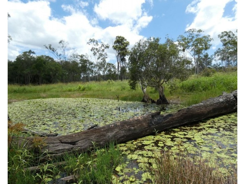 Lot 43 Moolyung Road, Waterloo QLD 4673