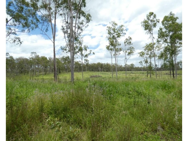 Lot 43 Moolyung Road, Waterloo QLD 4673
