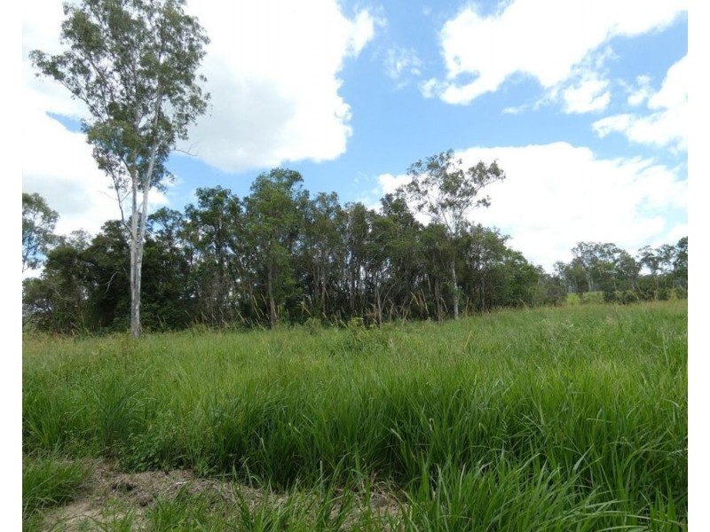 Lot 43 Moolyung Road, Waterloo QLD 4673