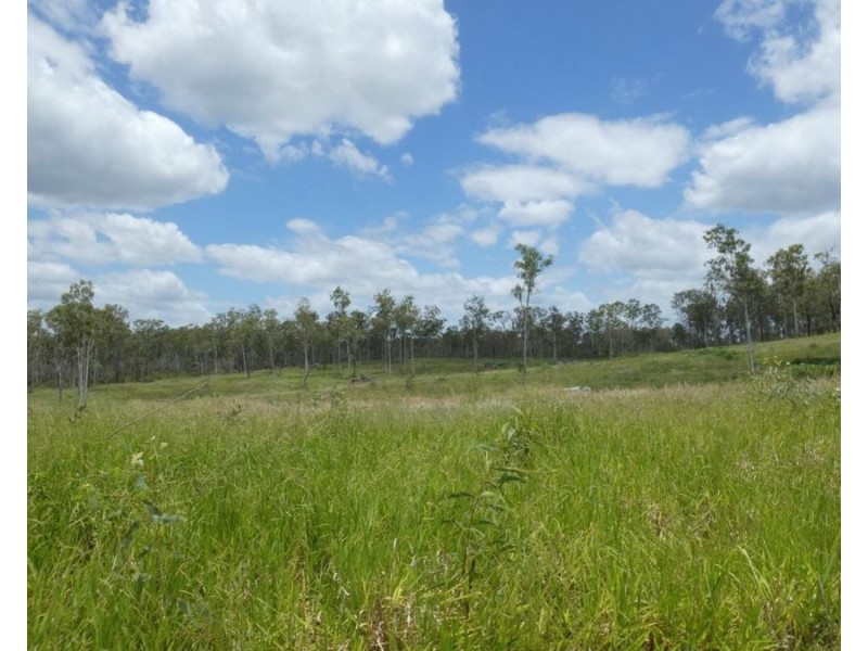 Lot 43 Moolyung Road, Waterloo QLD 4673