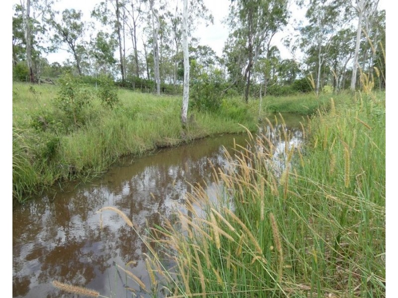 Lot 43 Moolyung Road, Waterloo QLD 4673