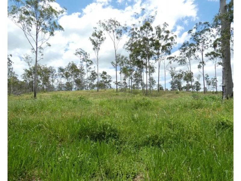 Lot 43 Moolyung Road, Waterloo QLD 4673