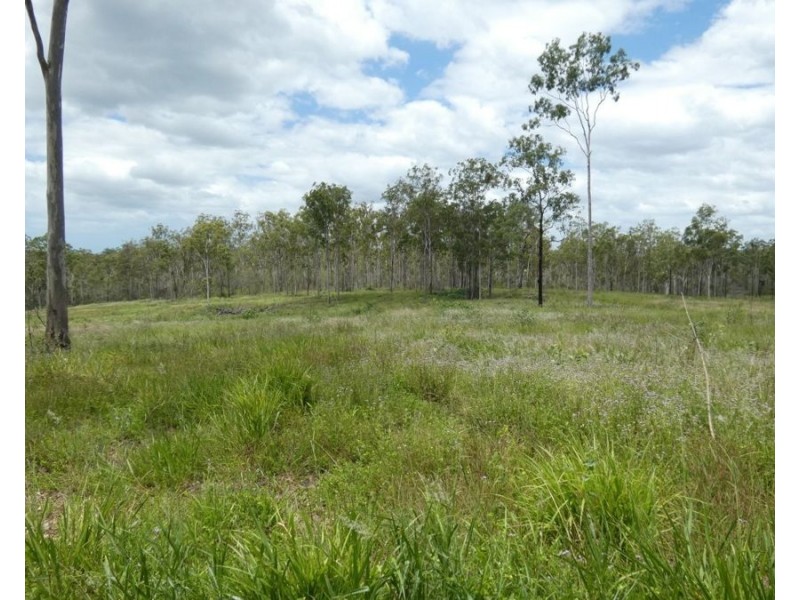 Lot 43 Moolyung Road, Waterloo QLD 4673