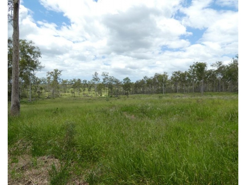 Lot 43 Moolyung Road, Waterloo QLD 4673