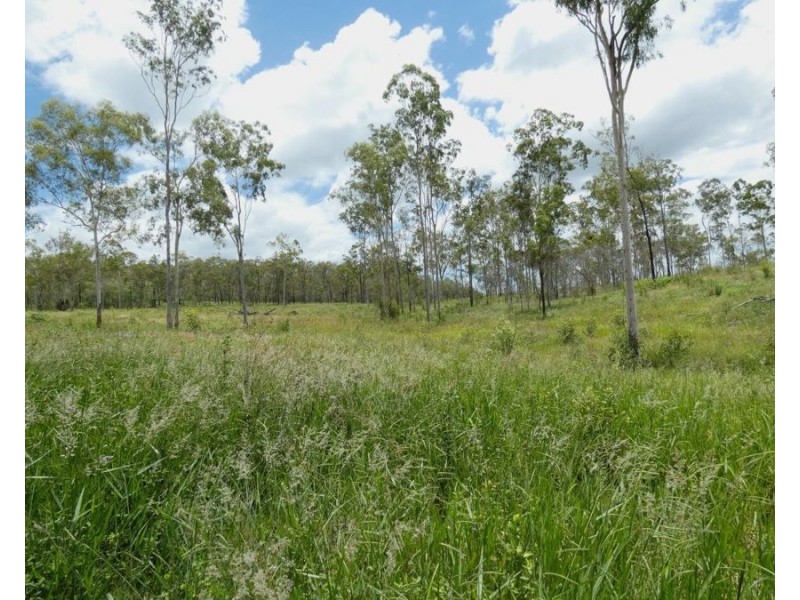 Lot 43 Moolyung Road, Waterloo QLD 4673