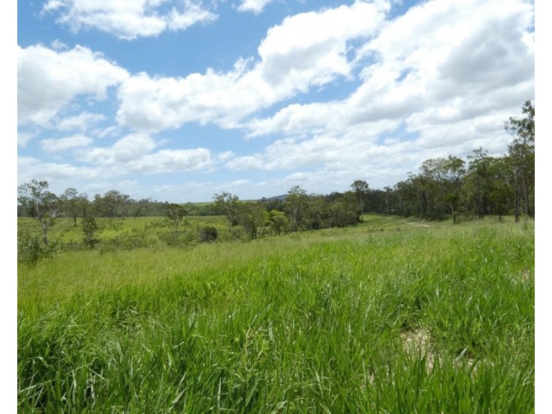 Lot 43 Moolyung Road, Waterloo QLD 4673
