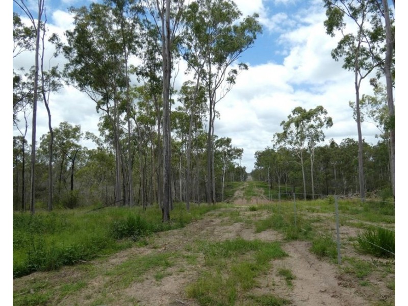 Lot 43 Moolyung Road, Waterloo QLD 4673
