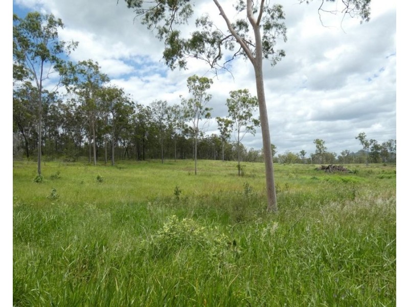 Lot 43 Moolyung Road, Waterloo QLD 4673