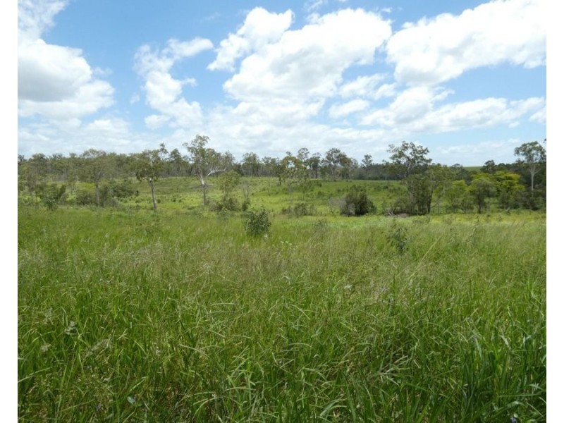 Lot 43 Moolyung Road, Waterloo QLD 4673