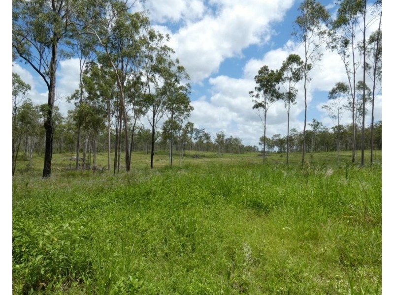 Lot 43 Moolyung Road, Waterloo QLD 4673