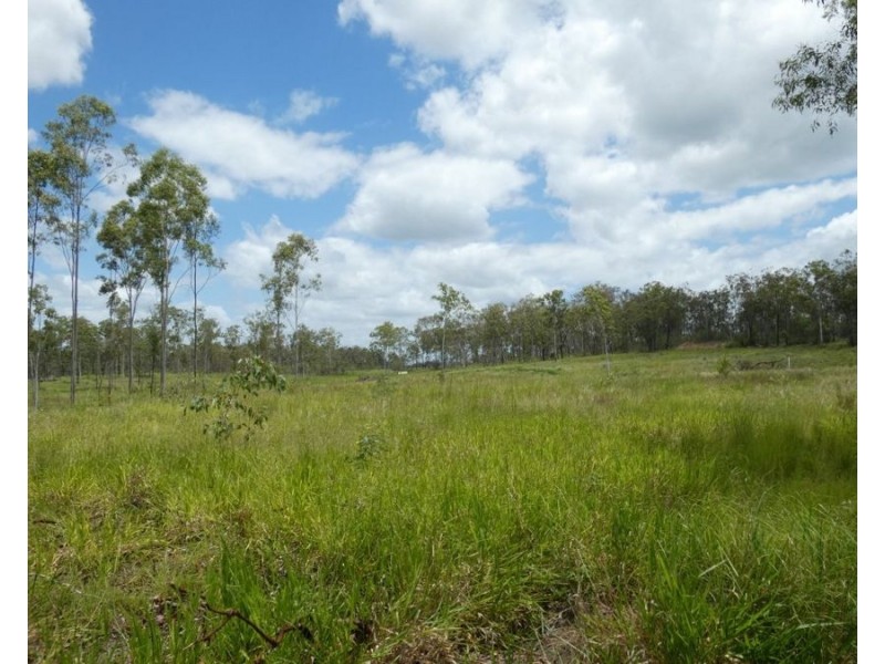 Lot 43 Moolyung Road, Waterloo QLD 4673