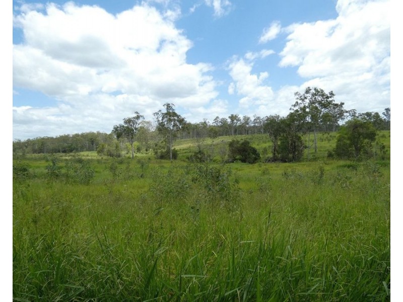 Lot 43 Moolyung Road, Waterloo QLD 4673