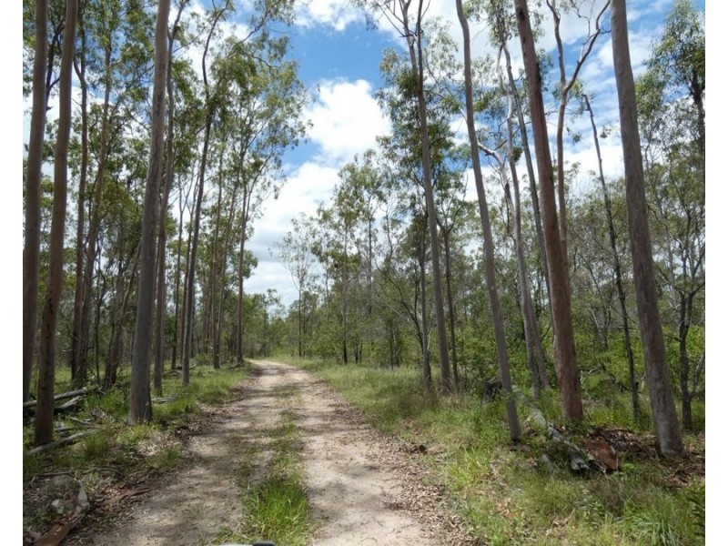 Lot 43 Moolyung Road, Waterloo QLD 4673